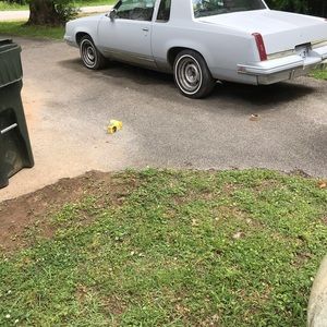 Meet your Posher, Antwon